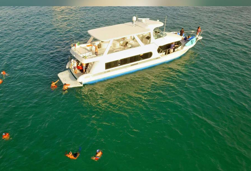  Cabo Yacht Rentals Luxury Yacht Charters